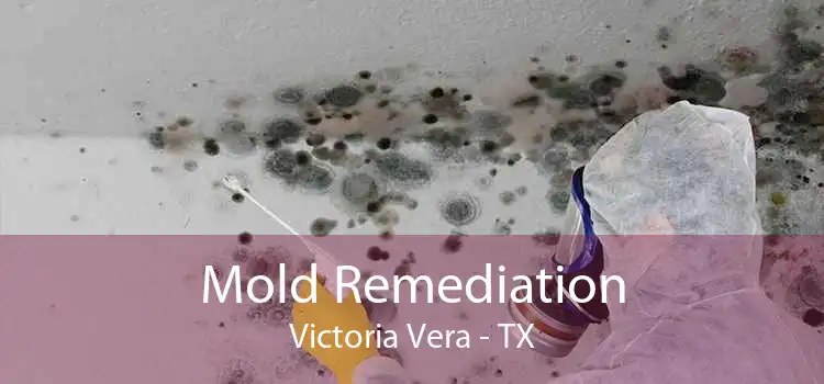 Mold Remediation Victoria Vera - TX