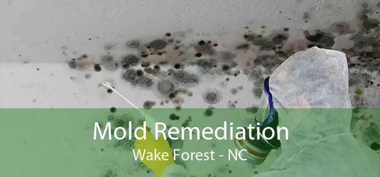 Mold Remediation Wake Forest - NC