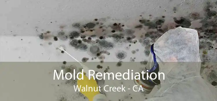 Mold Remediation Walnut Creek - CA