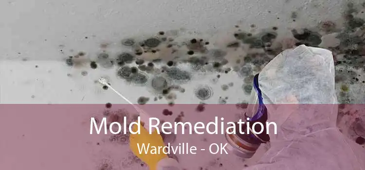 Mold Remediation Wardville - OK