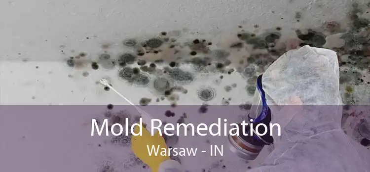 Mold Remediation Warsaw - IN