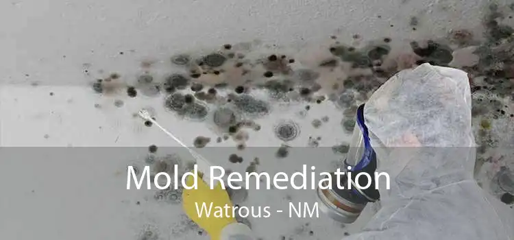 Mold Remediation Watrous - NM