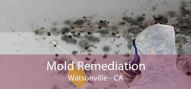 Mold Remediation Watsonville - CA