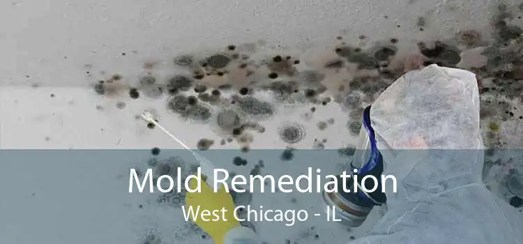 Mold Remediation West Chicago - IL