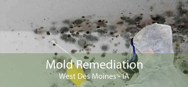 Mold Remediation West Des Moines - IA