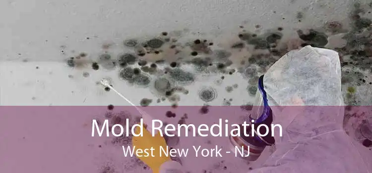 Mold Remediation West New York - NJ