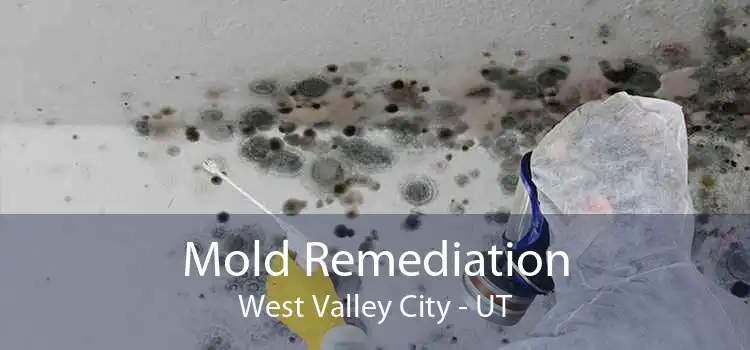 Mold Remediation West Valley City - UT