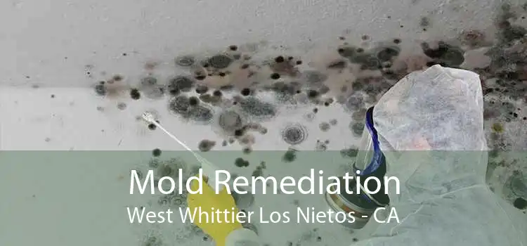 Mold Remediation West Whittier Los Nietos - CA
