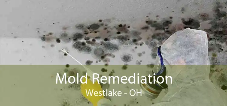 Mold Remediation Westlake - OH