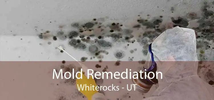Mold Remediation Whiterocks - UT