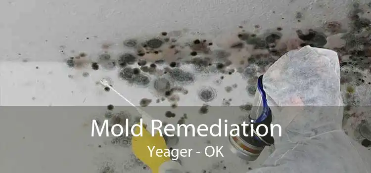 Mold Remediation Yeager - OK