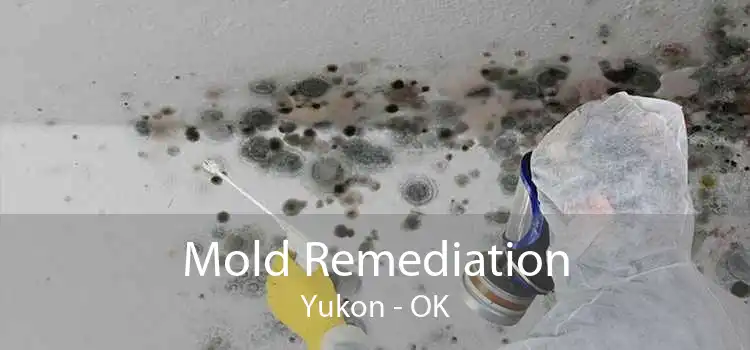 Mold Remediation Yukon - OK