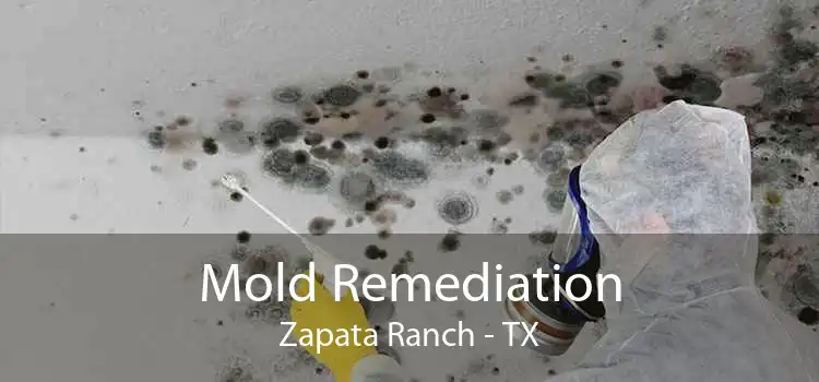 Mold Remediation Zapata Ranch - TX
