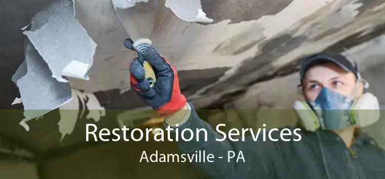 Restoration Services Adamsville - PA