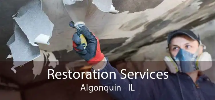 Restoration Services Algonquin - IL