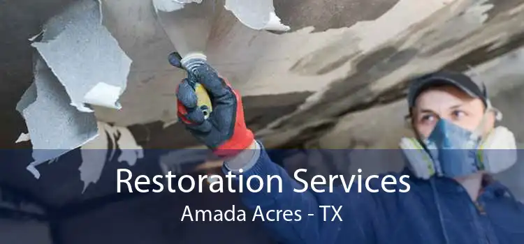 Restoration Services Amada Acres - TX