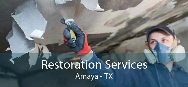 Restoration Services Amaya - TX