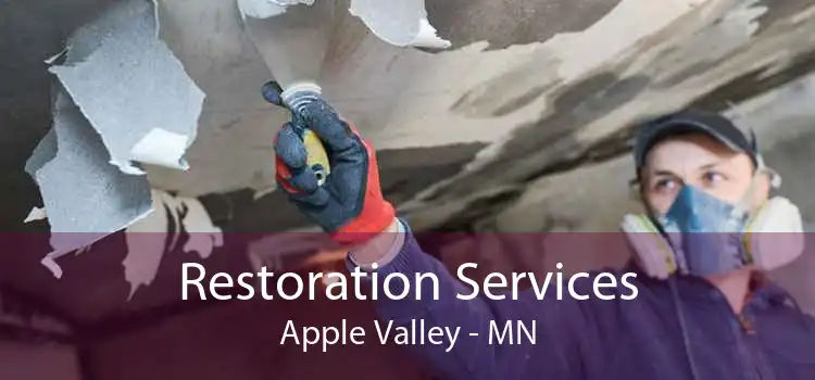 Restoration Services Apple Valley - MN