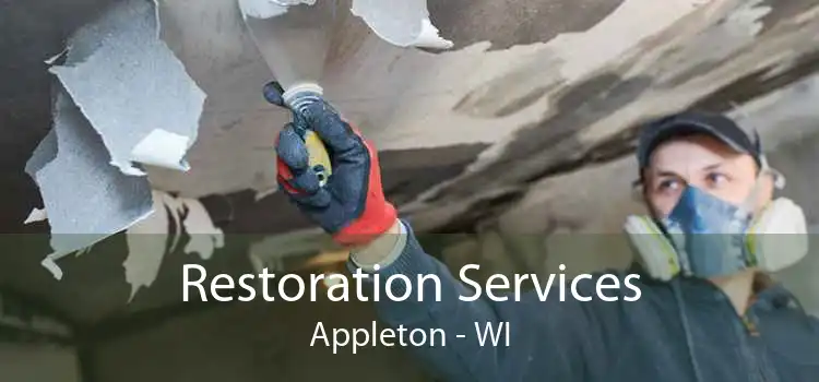 Restoration Services Appleton - WI