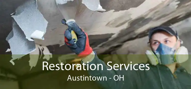 Restoration Services Austintown - OH