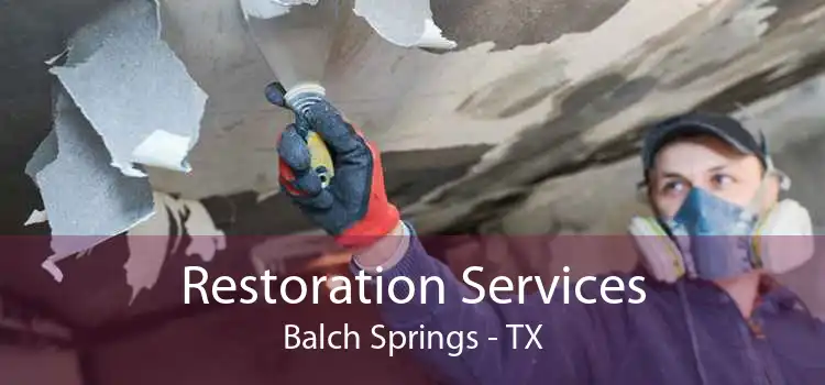 Restoration Services Balch Springs - TX