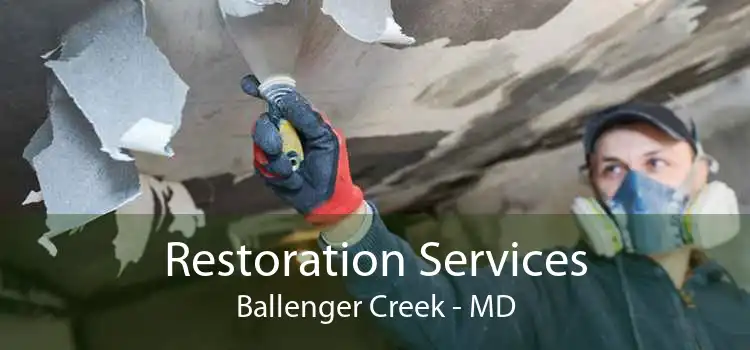 Restoration Services Ballenger Creek - MD