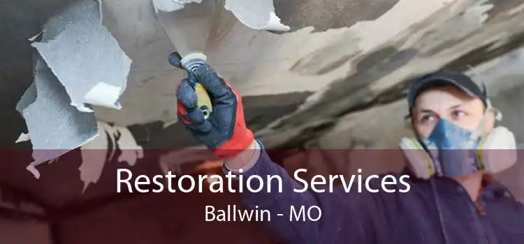 Restoration Services Ballwin - MO