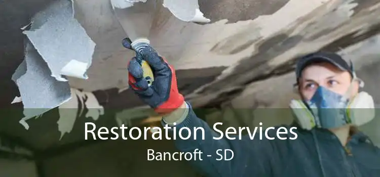 Restoration Services Bancroft - SD