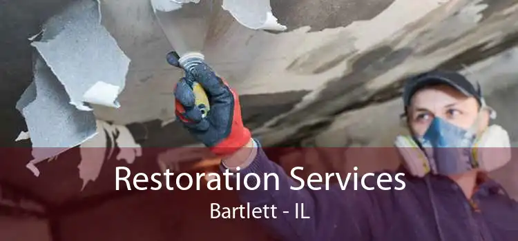 Restoration Services Bartlett - IL