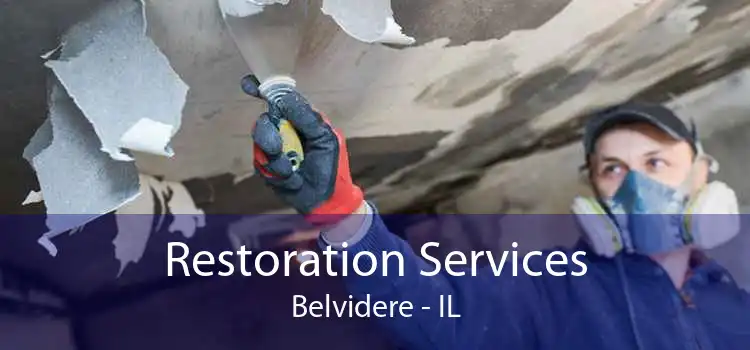 Restoration Services Belvidere - IL