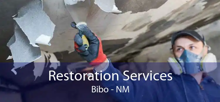 Restoration Services Bibo - NM