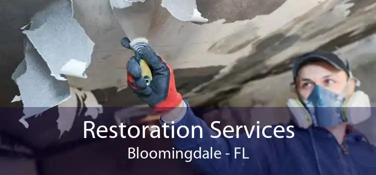 Restoration Services Bloomingdale - FL