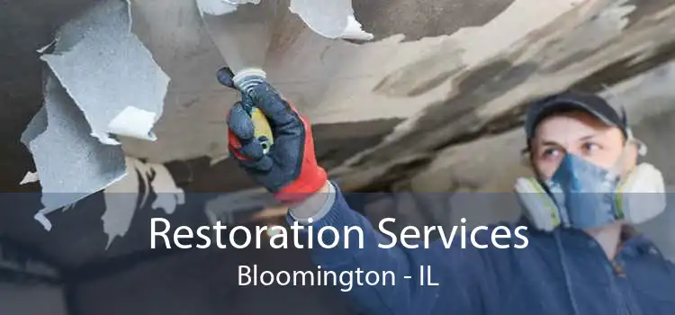 Restoration Services Bloomington - IL