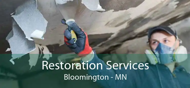 Restoration Services Bloomington - MN