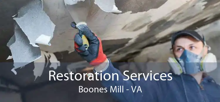 Restoration Services Boones Mill - VA