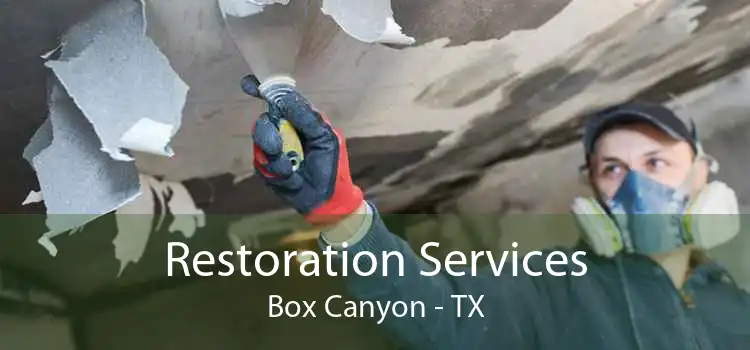 Restoration Services Box Canyon - TX