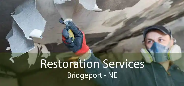 Restoration Services Bridgeport - NE