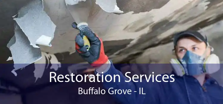 Restoration Services Buffalo Grove - IL