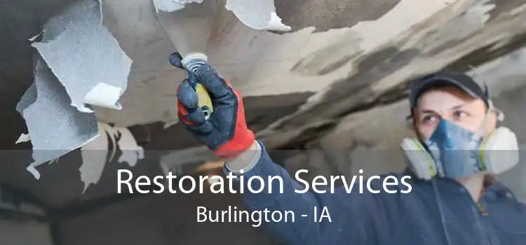Restoration Services Burlington - IA