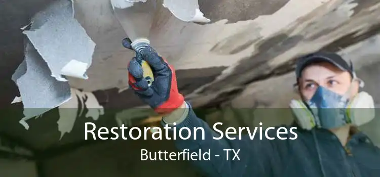 Restoration Services Butterfield - TX