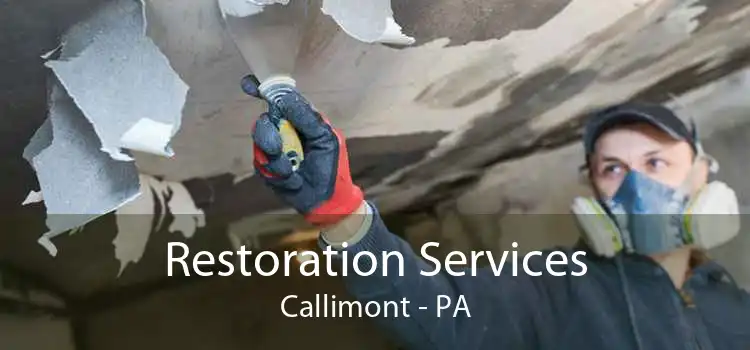 Restoration Services Callimont - PA