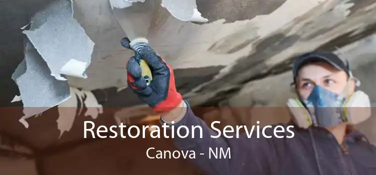 Restoration Services Canova - NM