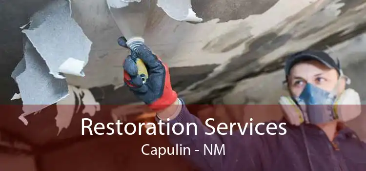 Restoration Services Capulin - NM