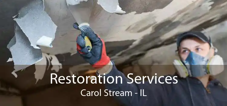 Restoration Services Carol Stream - IL