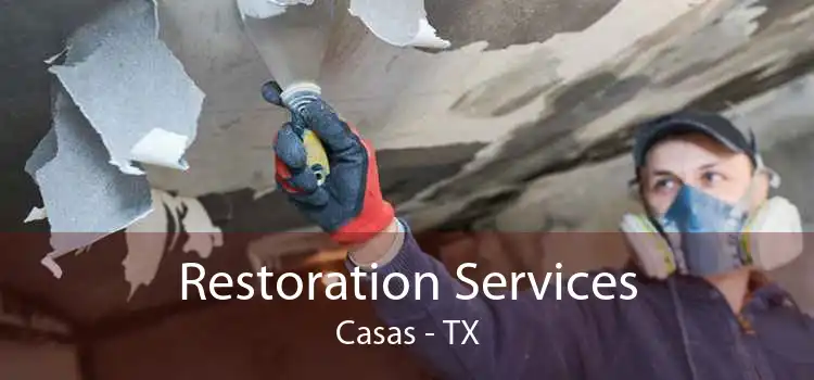 Restoration Services Casas - TX