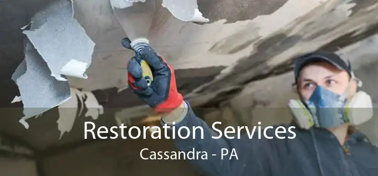 Restoration Services Cassandra - PA