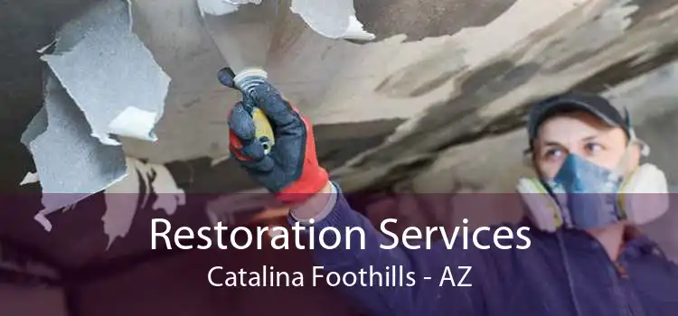 Restoration Services Catalina Foothills - AZ
