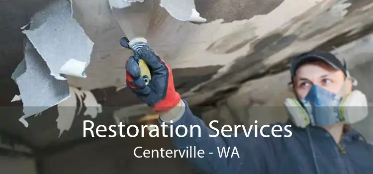 Restoration Services Centerville - WA