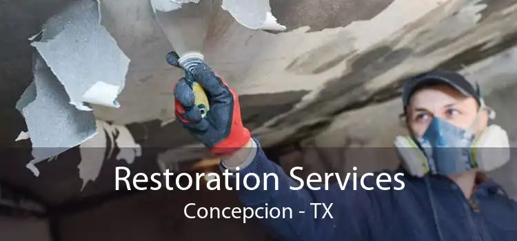 Restoration Services Concepcion - TX