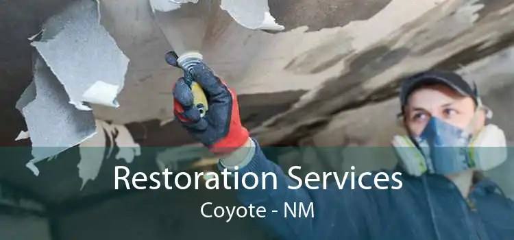Restoration Services Coyote - NM